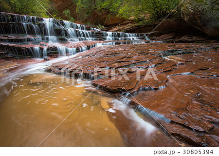 Archangel Falls, Zion National Park, Utah 30805394