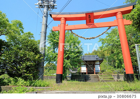 新緑の熊野神社 30806675