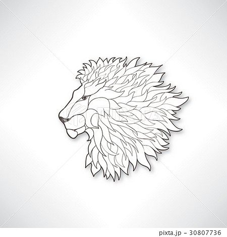 Lion head. African animal lion profile. Line art 30807736