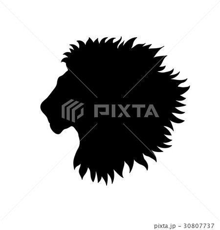 Lion head. African animal lion profile silhouette 30807737