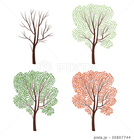 Four seasons naturedecor. Tree set. Plant seasonal 30807744