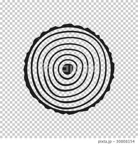Cut tree trunk Cut tree trunk 30808154