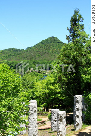 有馬富士公園 30809301