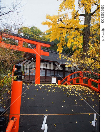 下鴨神社_細殿 30809609