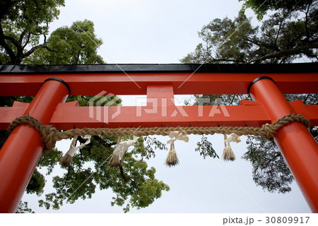 上賀茂神社 上賀茂神社 30809917