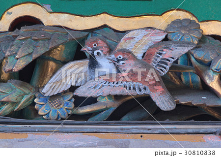 日光東照宮 眠り猫の裏雀の写真素材