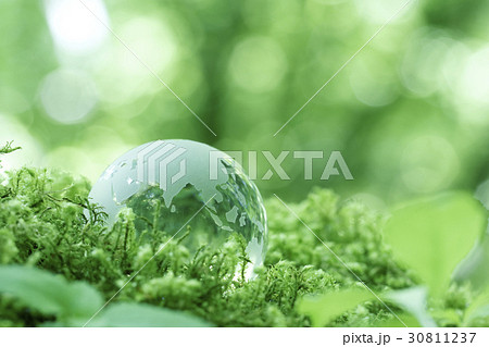 森の中のガラスの地球 30811237