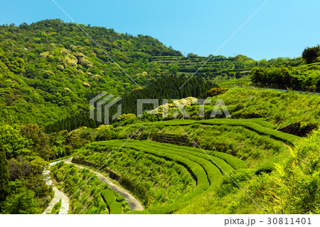 地下の茶山 30811401