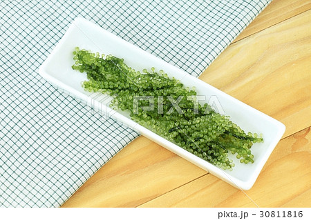 Seaweed Salad, Healthy sea food in the dish. Seaweed Salad, Healthy sea food in the dish. 30811816