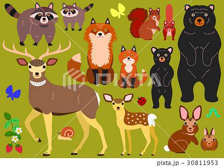 森の動物の親子の素材セット のイラスト素材