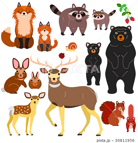 森の動物の親子の素材セット のイラスト素材 30811956 Pixta