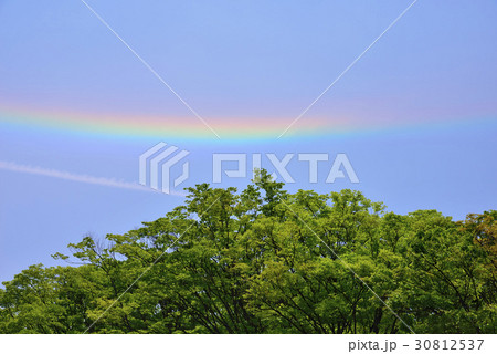 環水平アーク 環水平アーク 30812537