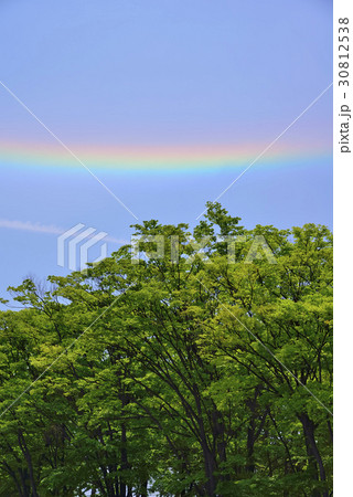 環水平アーク 30812538