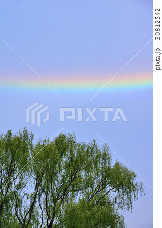 環水平アーク 30812542