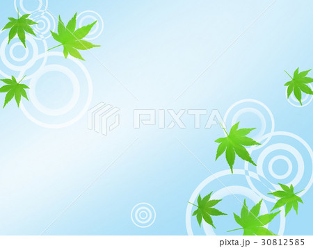 暑中見舞い　和柄　残暑見舞い　金魚 30812585