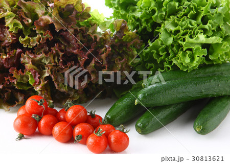 野菜 30813621