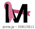 Ｍ英文字の飾り文字 30813811
