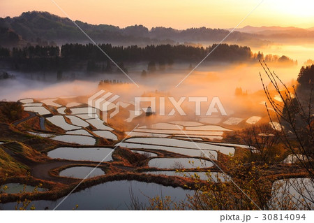 峠の棚田 峠の棚田 30814094
