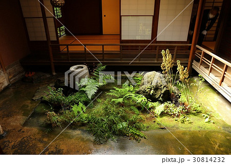 松向庵 松向庵 30814232