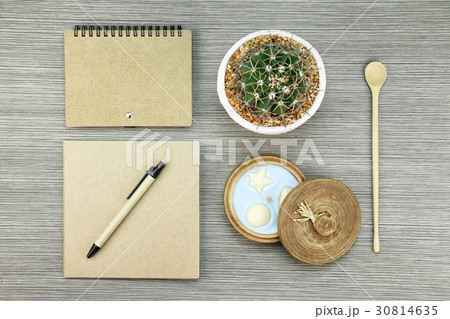 Brown paper stationeries and cactus. Brown paper stationeries and cactus. 30814635
