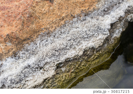 White algae and mineral layer in the stone 30817215