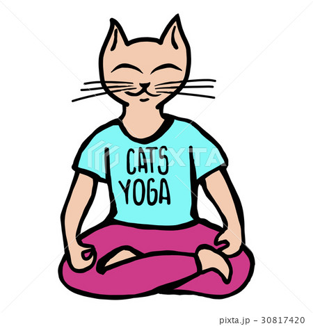 Cats yoga illustration 30817420