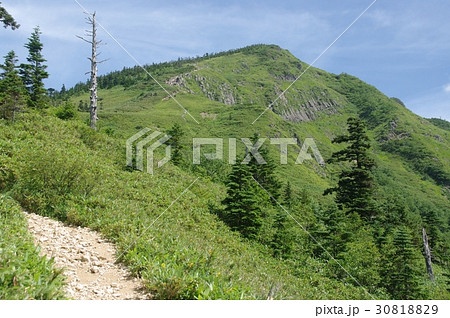 岩菅山 岩菅山 30818829