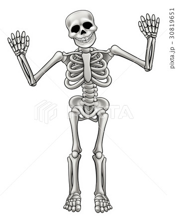 Cartoon Standing Skeletonのイラスト素材 [30819651] - PIXTA