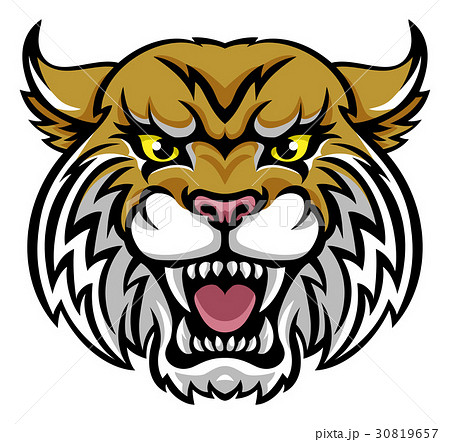 Wildcat Bobcat Mascot Wildcat Bobcat Mascot 30819657