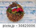 花 30820006