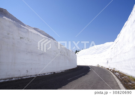 志賀草津高原ルートの雪の回廊 30820690