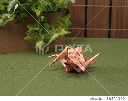 寄木（やどりぎ） 30821340