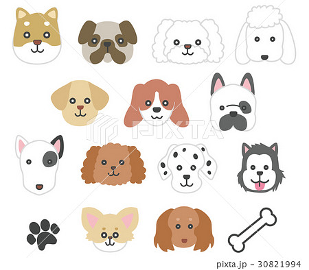 犬の顔イラストのイラスト素材 30821994 Pixta