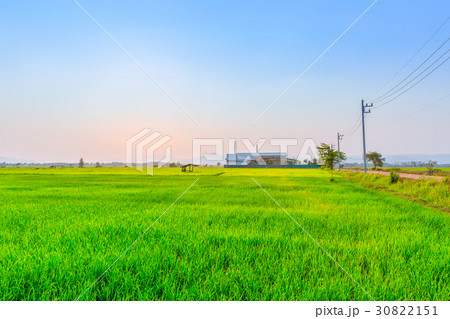 Agriculture green field with industry power plant. Agriculture green field with industry power plant. 30822151