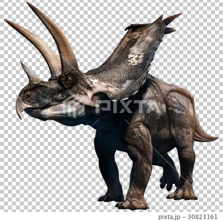 Agujaceratops Agujaceratops 30823161