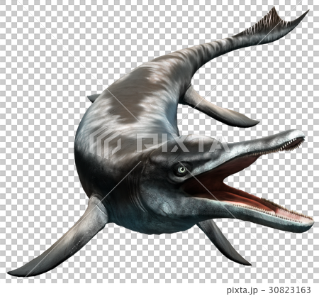 Cymbospondylus 30823163