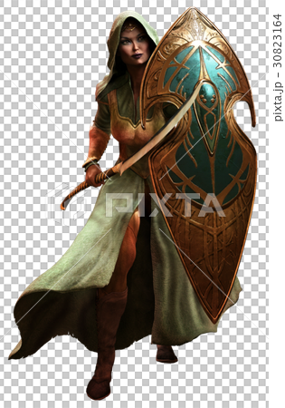 Elf warrior Elf warrior 30823164