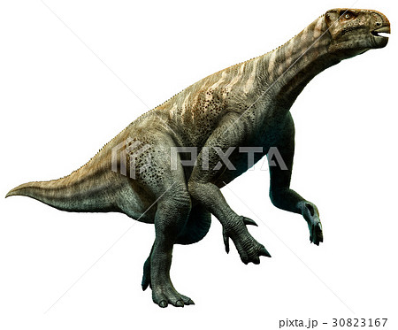 Iguanodon Iguanodon 30823167