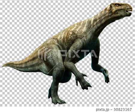 Iguanodon Iguanodon 30823167