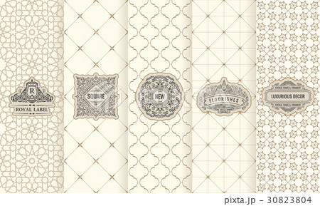 Vector set of design elements labels, icon, logo Vector set of design elements labels, icon, logo 30823804