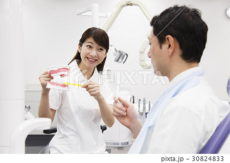 歯科衛生士　歯科　歯列模型　デンタル　歯科助手　患者　歯科医　虫歯　デンタルケア 30824833