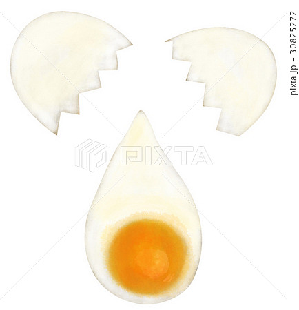 手描き たまご 卵のイラスト素材