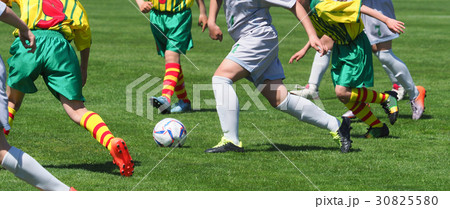 サッカー フットボール サッカー フットボール 30825580