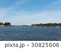 松島 30825606