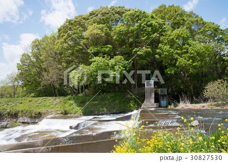 利根川支流 薄根川 魚道 利根川支流 薄根川 魚道 30827530