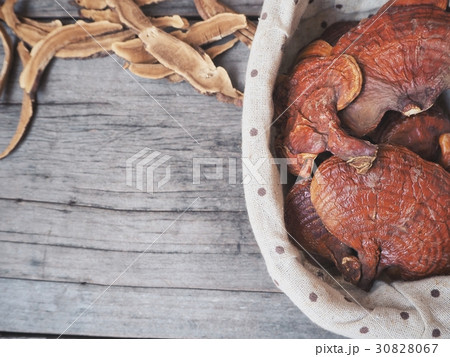 Ganoderma Lucidum - Ling Zhi Mushroom. 30828067