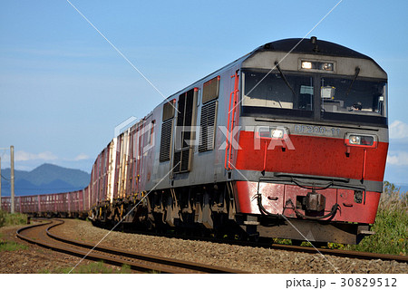 室蘭本線を走るDF200-11コンテナ貨物列車 30829512