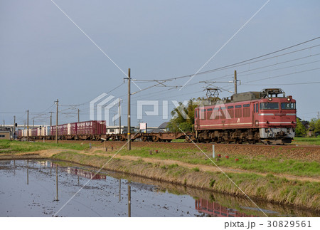 EF81723コンテナ貨物列車 30829561