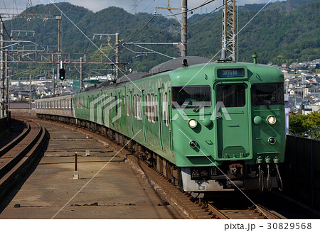 113系混色編成8両 30829568