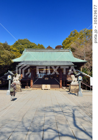 宇都宮 二荒山神社 宇都宮 二荒山神社 30829677